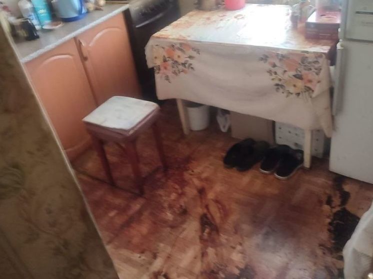 В Чехове внук зарубил деда и неделю находился в доме с трупом