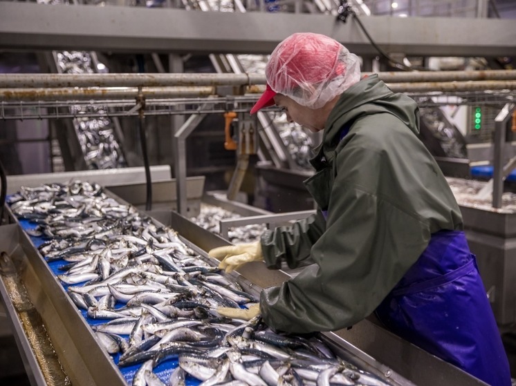 Сахалин и Курилы экспортировали в страны АТР рыбу на $246 млн