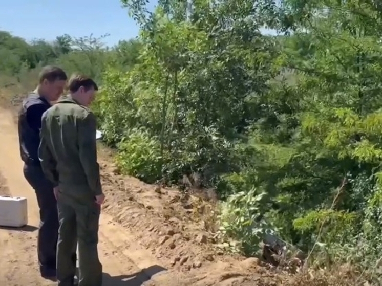 Стали известны страшные подробности убийства женщины под Ростовом