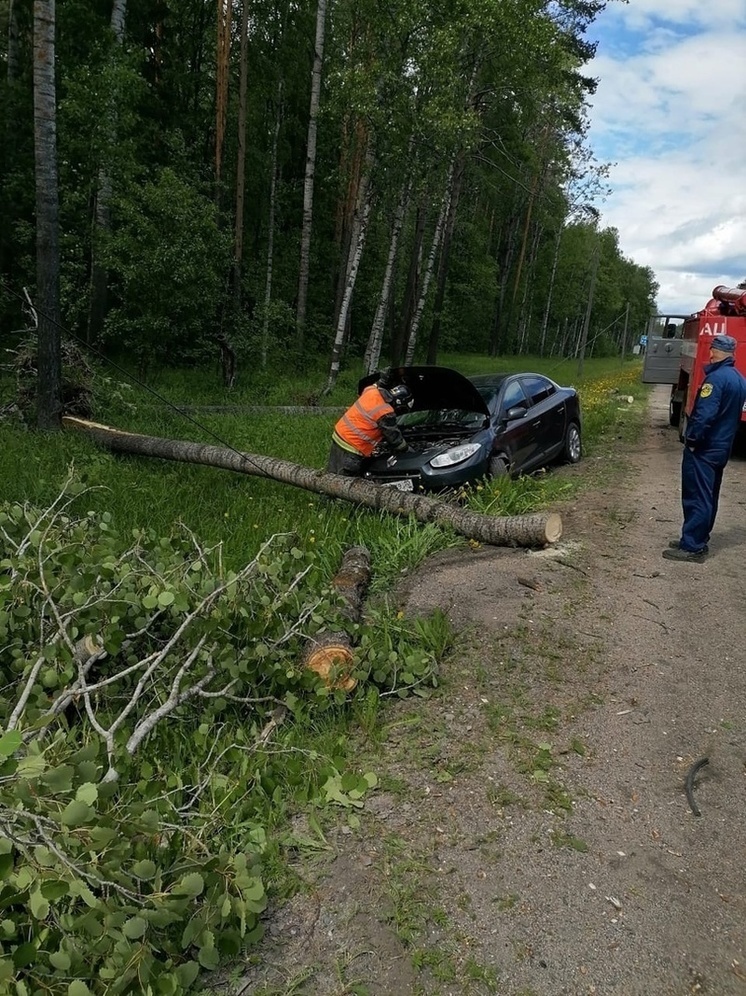 Иномарка вылетела с трассы в Карелии, работали спасатели