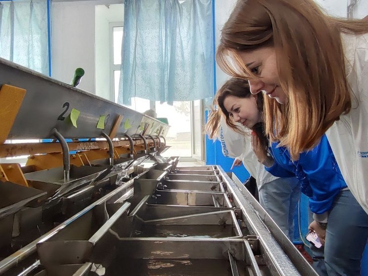 В Тобольском районе выращивают краснокнижного осетра