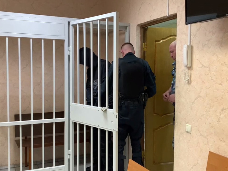 Жителя Подмосковья заключили под стражу за убийство деда топором