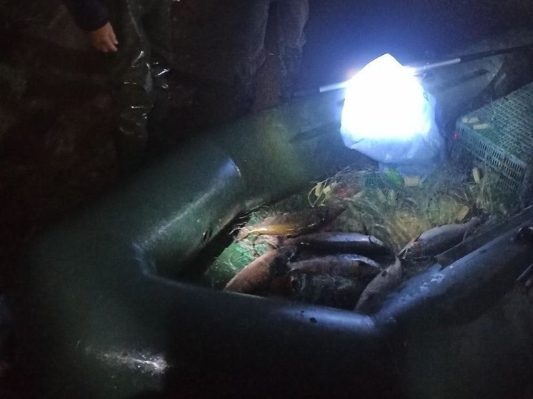 В Анивском районе задержали двоих браконьеров на лодке