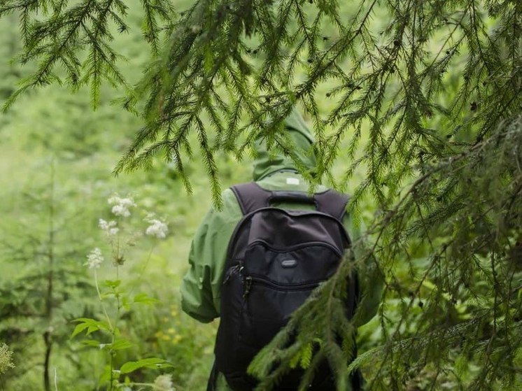 В лесах Подмосковья с начала года заблудились 45 человек