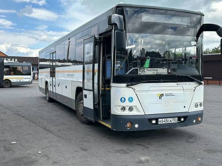 Самые необычные находки в автобусах назвали в Подмосковье