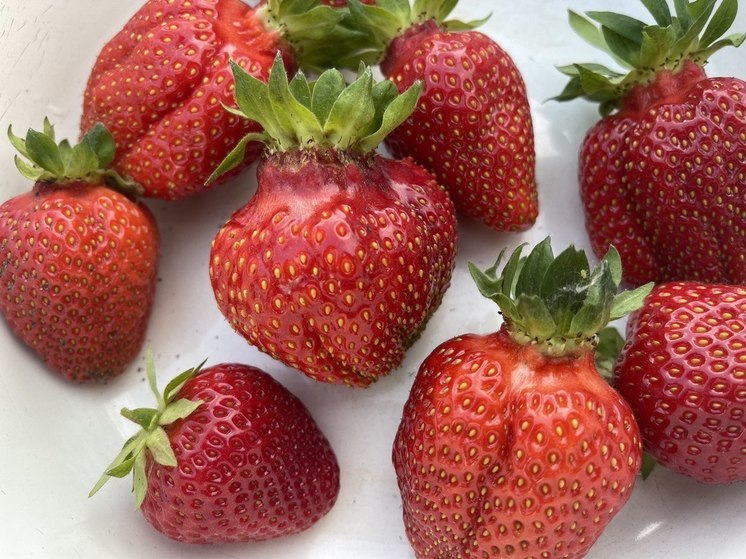 Пензенцам рассказали, какие продукты добавят долголетия