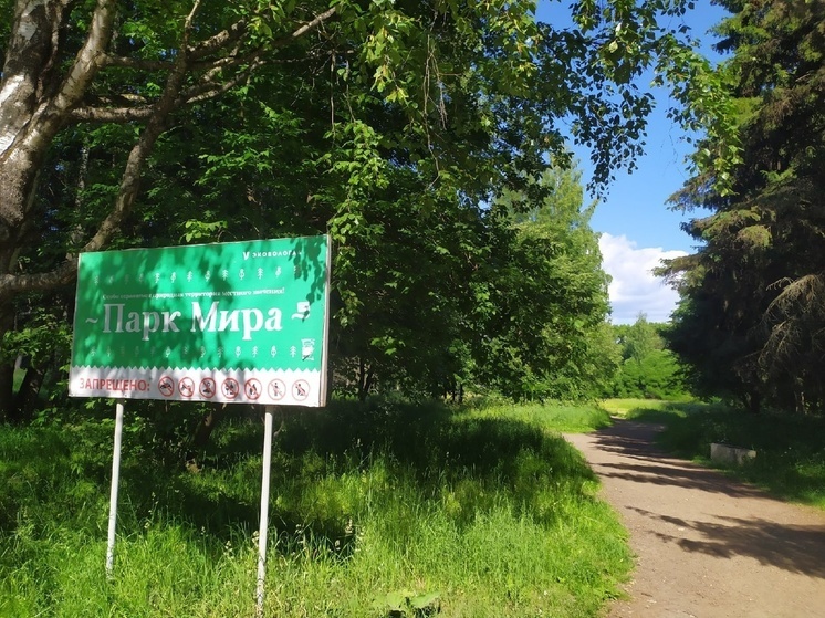 В парке Мира Вологды начали формировать беговые дорожки