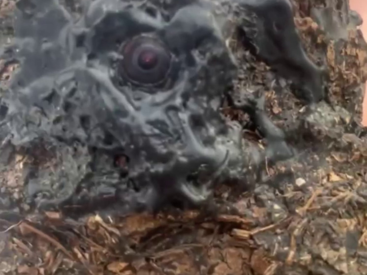 Камень с видеокамерой нашли в женском туалете на пляже в Подмосковье
