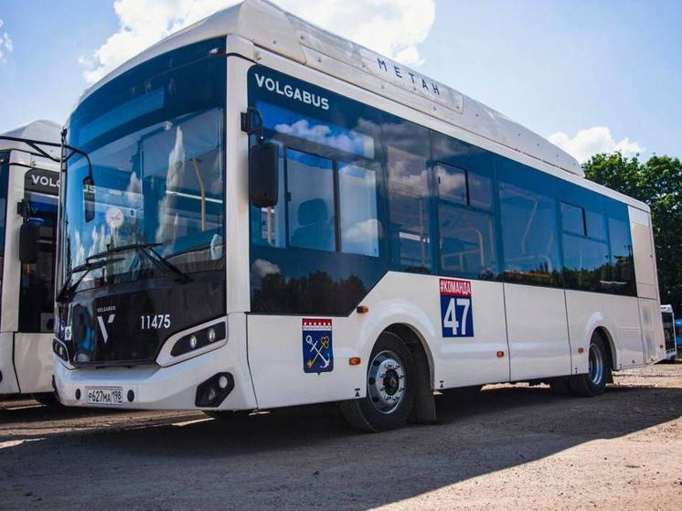 Благодаря новым автобусам на одном из маршрутов Гатчины пассажиропоток увеличился на 20%