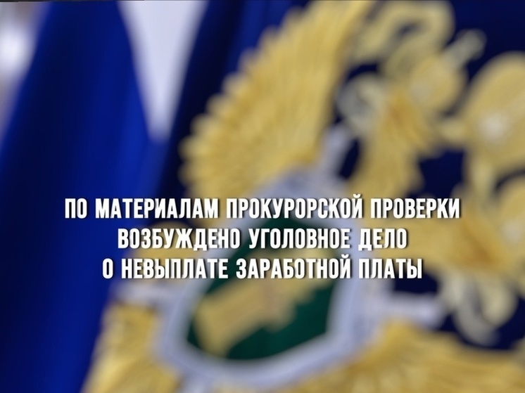 По материалам прокурорской проверки возбуждено уголовное дело о невыплате заработной платы в размере более 300 тыс рублей