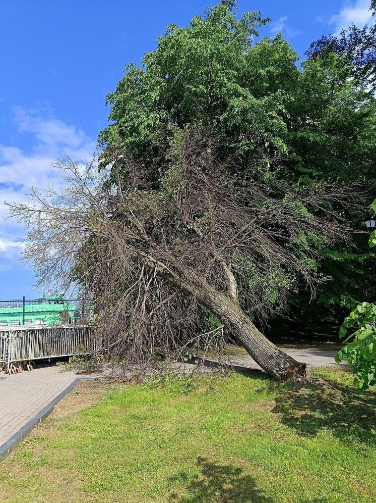 Угроза нависла над пешеходами на набережной Петрозаводска