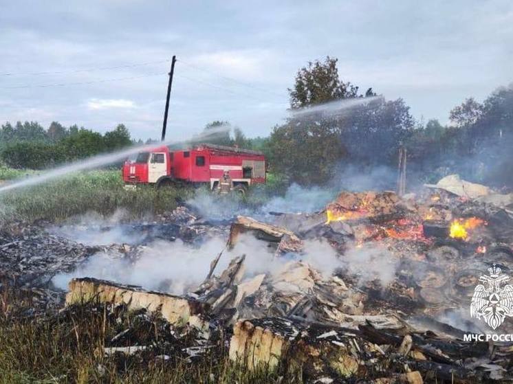 Спасатели не дали распространиться крупному пожару в Тверской области