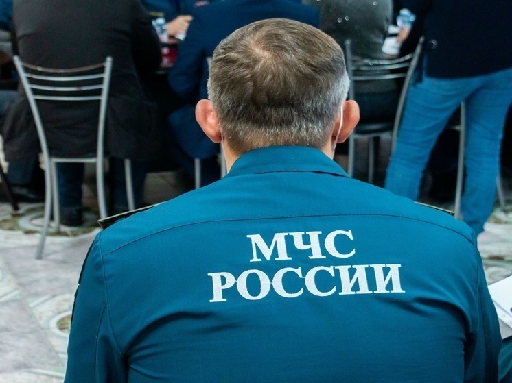 В Челябинске загорелись сразу три балкона многоквартирного дома