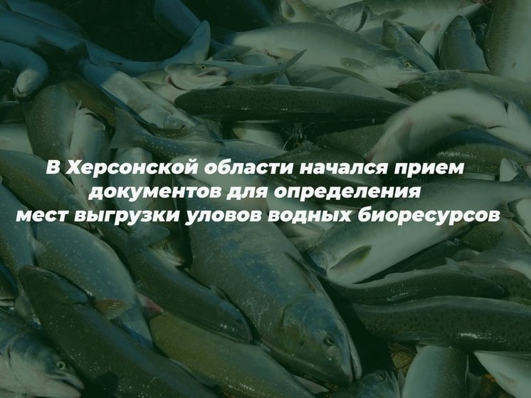 На Херсонщине идет процесс легализации рыбной ловли в Черном и Азовском морях