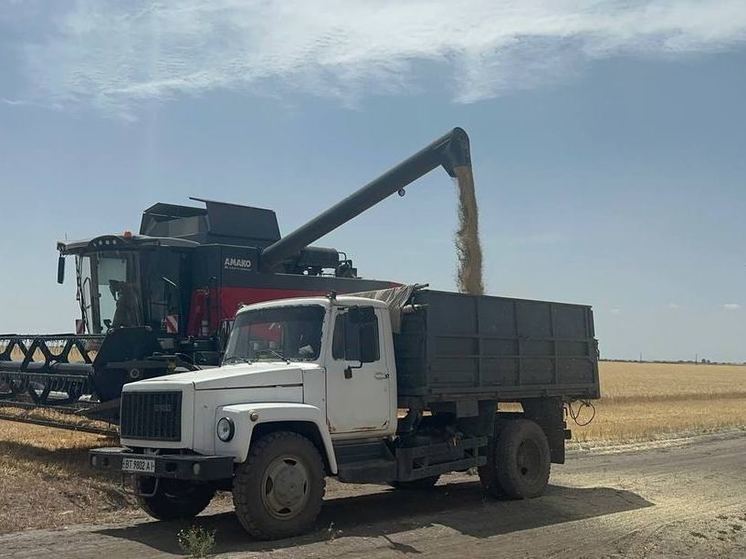 В Херсонской области началась жатва