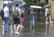 «Если нет позитивных эмоций от общения с людьми, ждешь их от погоды»