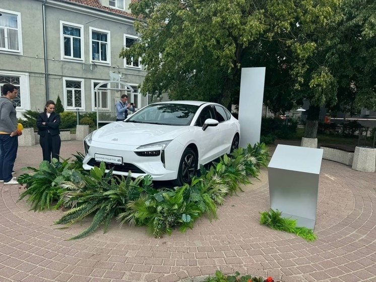На месте памятника зеленоградским котам стоит автомобиль