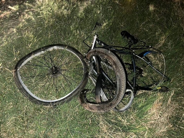 В Кореновском районе под колёсами иномарки погиб велосипедист