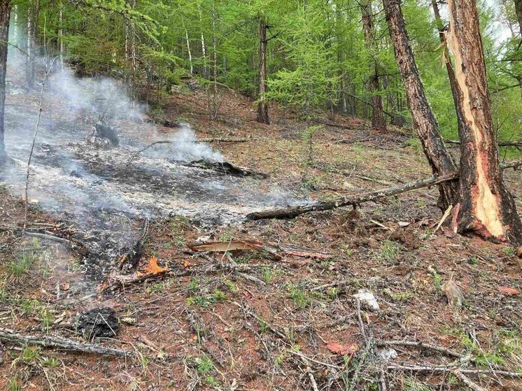 В Бурятии нет новых пожаров в тайге