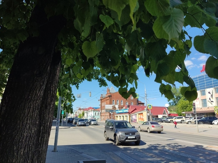 Жара уйдёт из Томска в начале следующей недели