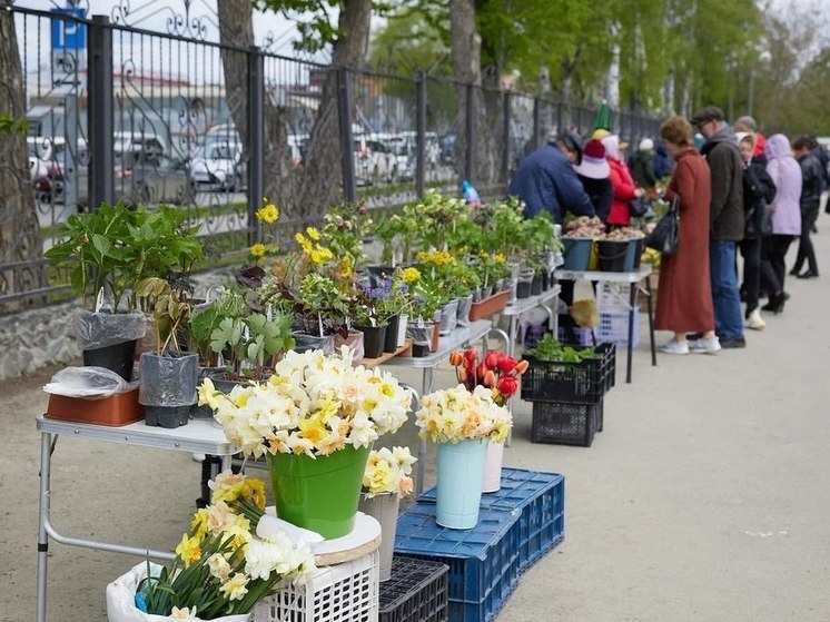 Южносахалинцев приглашают на тематическую ярмарку с концертом