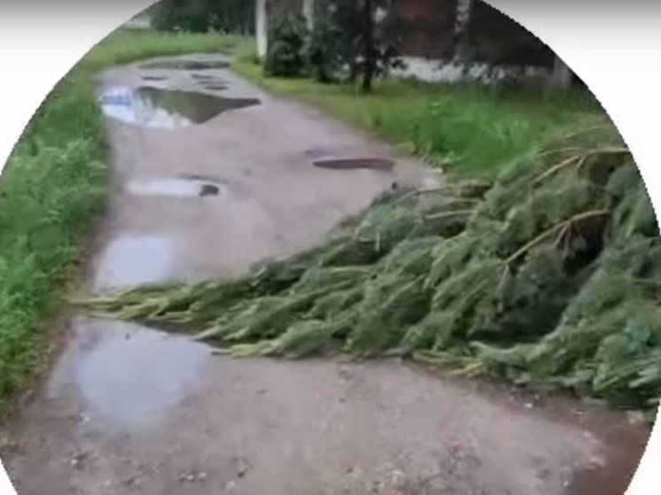 Ярославцы рассказали о грозном природном явлении