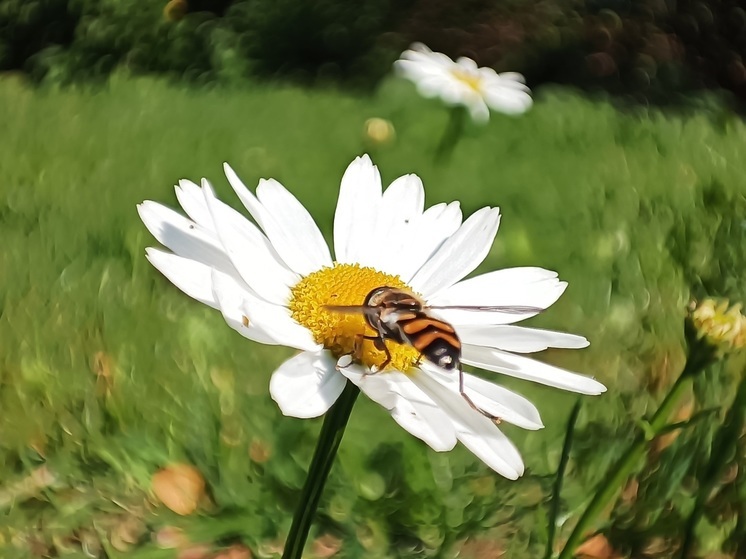 Свердловские сотрудники ГАИ призвали водителей быть бдительными в жару