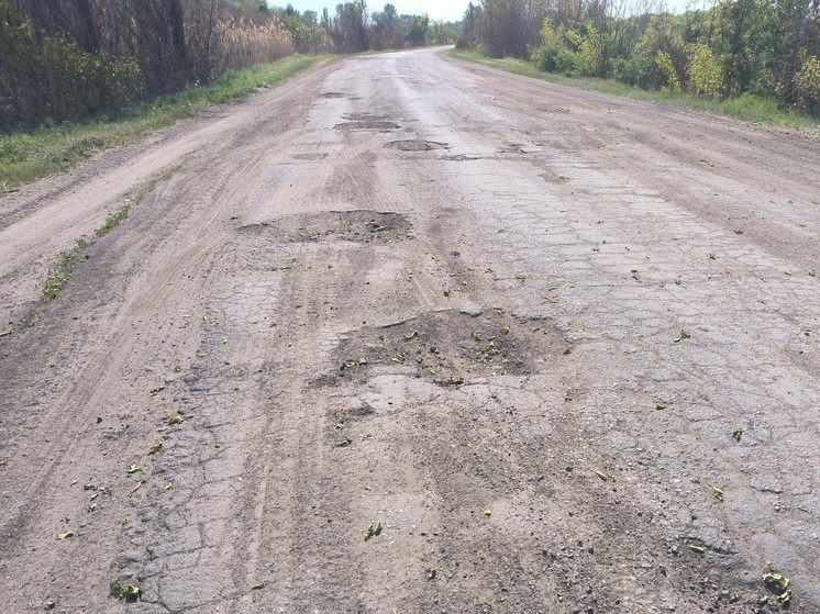 Единственная дорога до 4-х поселков под Воронежем превратилась в зубодробилку