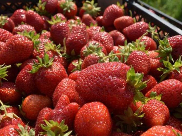 Роспотребнадзор рассказал, какие продукты усиливают аллергию