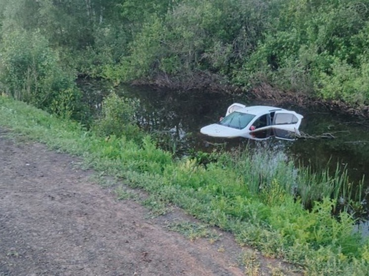 Около Бузулука произошла авария, погиб водитель Renault