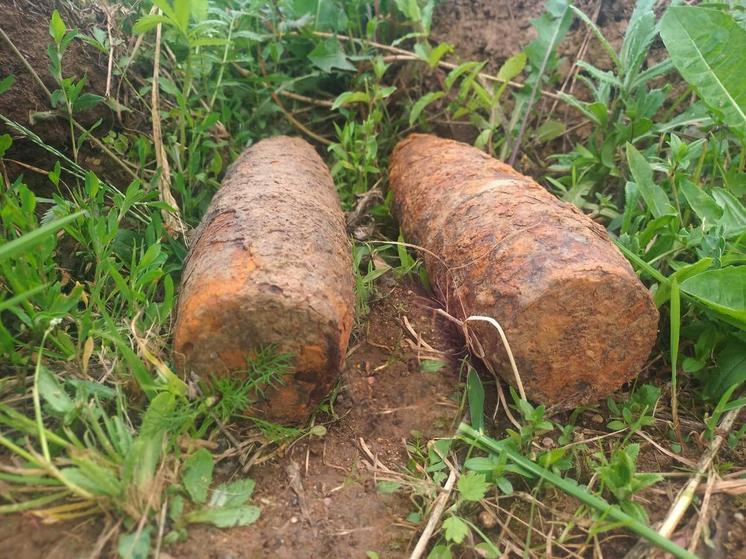 Снаряды времен Великой Отечественной обнаружили в Подмосковье