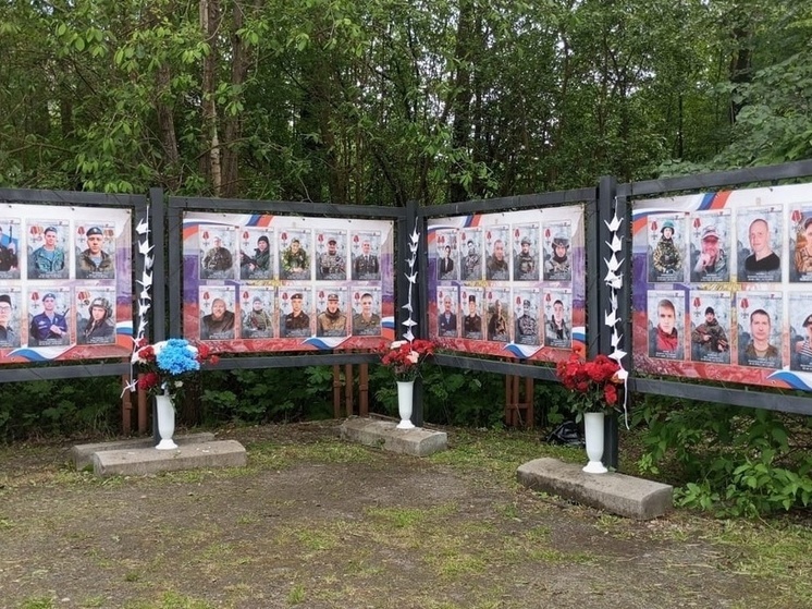 В парке Победы в Вологде открылась фотовыставка «Герои Вологодчины. Герои спецоперации»