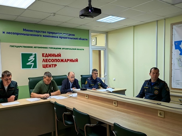 Лесные пожары в Поморье – неосторожное обращение с огнем