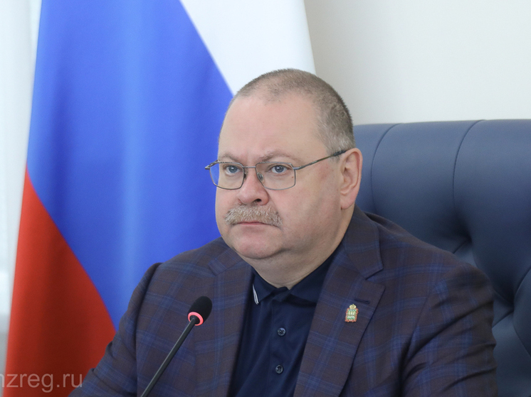 Глава Пензенской области взял на личный контроль ремонт в школах региона