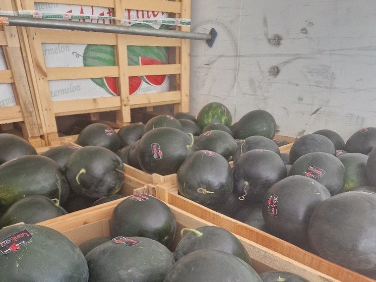 В Калининградскую область продолжают ввозить арбузы из Турции