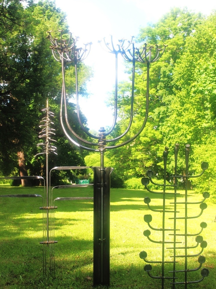 Исполинские растения Карелии в стекле и металле появились в Петербурге