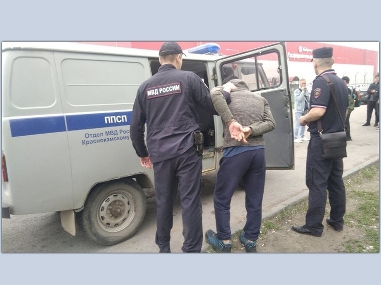 В Пермском крае на первом этапе операции «Нелегал 2024» возбуждено 15 уголовных дел