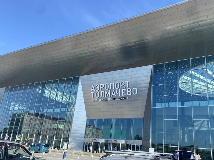 Таможенники в Новосибирске обнаружили в багаже 13 кораллов из Египта