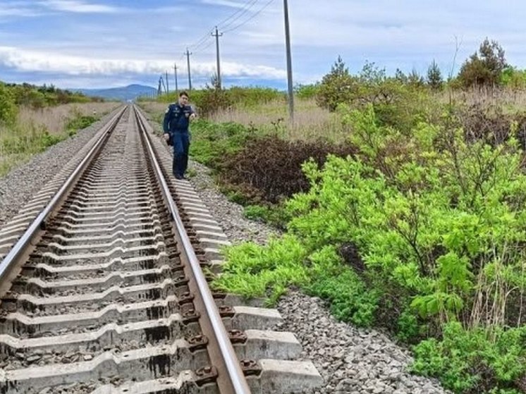 Под Холмском потушили 600 «квадратов» травы у железной дороги