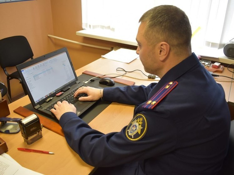 Следователи возбудили дело после нападения собаки на 5-летнего ребенка в Холмске