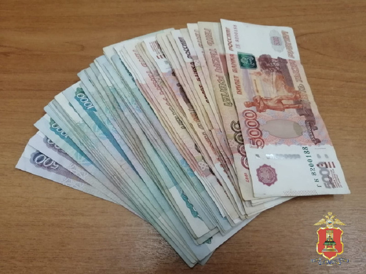 Гостеприимная жительница деревни в Тверской области лишилась больше 100 тысяч рублей