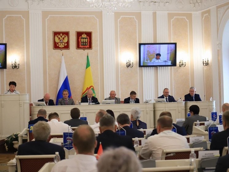 В Пензенской области принято 206 законов с начала 2024 года