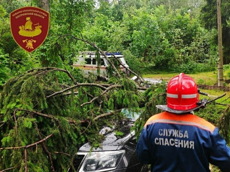 Костромская стихия: сотрудники МЧС убирают с дорог поваленные ветром деревья
