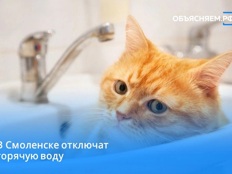 Горожане останутся без горячей воды с 19 по 25 июня