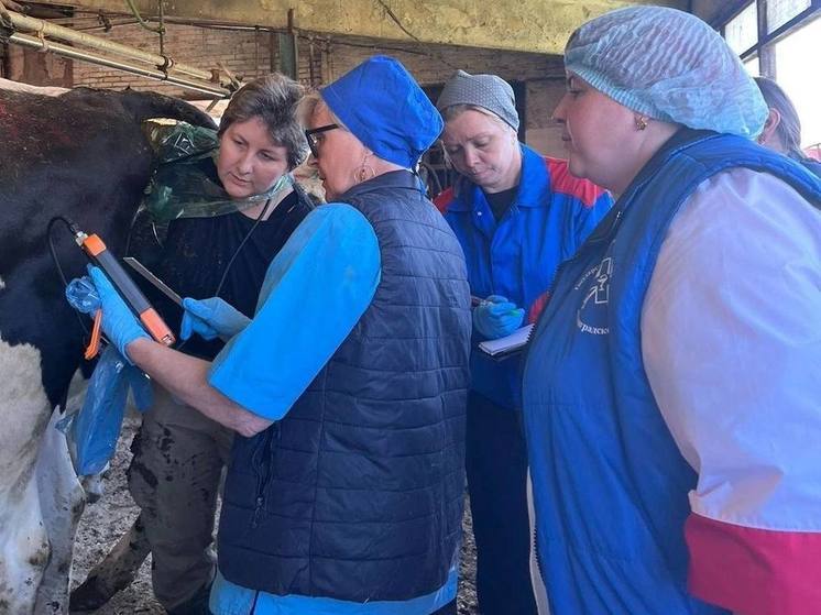 В Волосовском районе выбрали лучших специалистов племенной службы