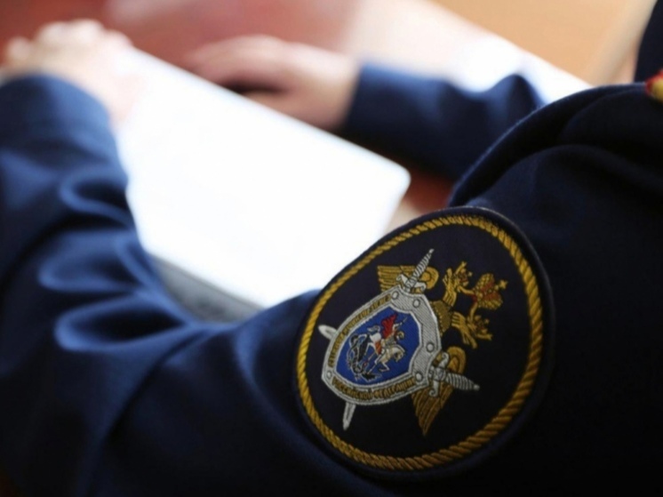 В Туле 4-летняя девочка выпала из окна 8-го этажа