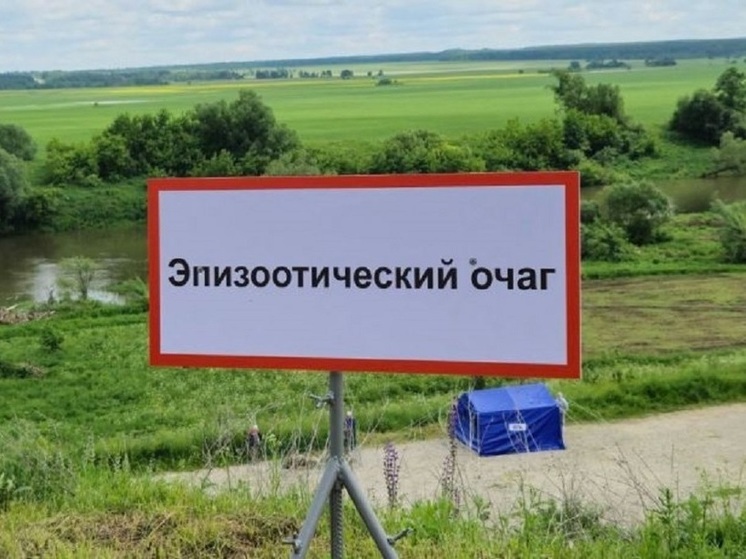 В Чекалине ветработники из семи областей участвовали в учениях