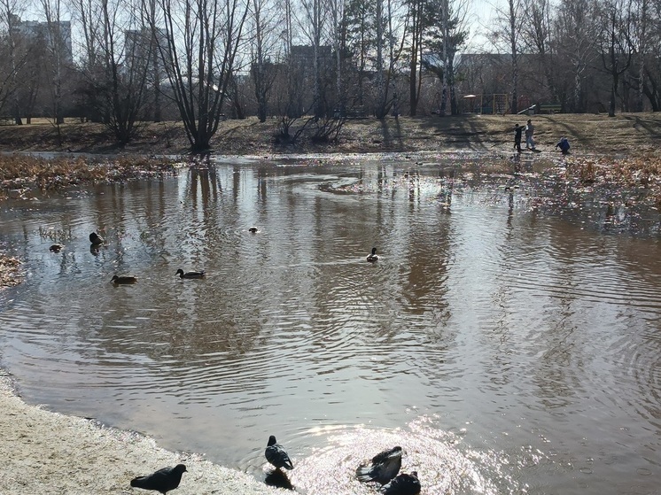 Три места для купания планируют открыть в Кургане