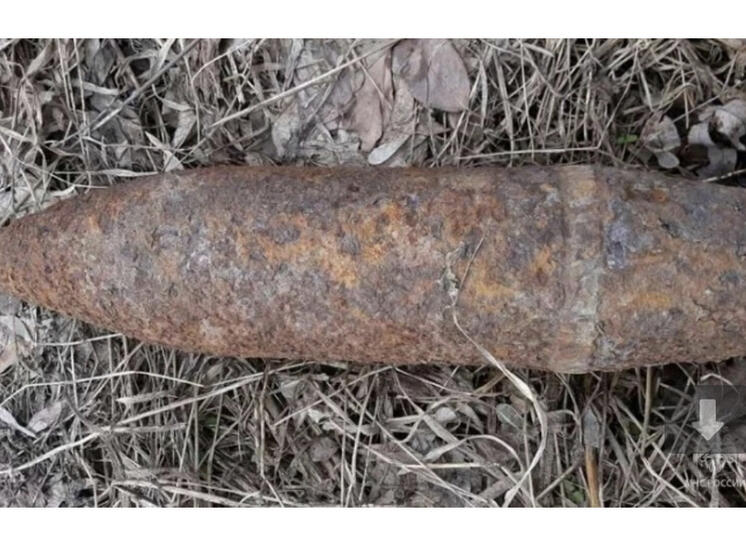 В Рославльском районе найдены и обезврежены взрывоопасные предметы времён ВОВ