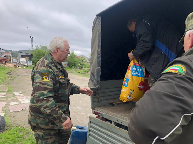 Более 700 кг гуманитарной помощи собрали северяне приюту для собак «Надежда»